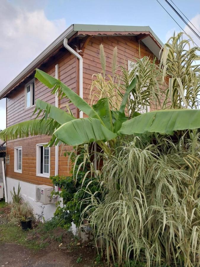 Le Cosy Bungalow De Lili / 5Min De L'Aeroport Les Abymes Exterior foto